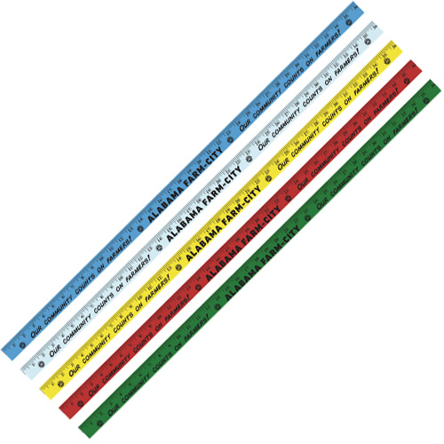 Product Designer Image