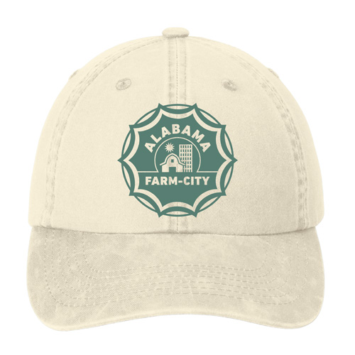 Product Designer Image